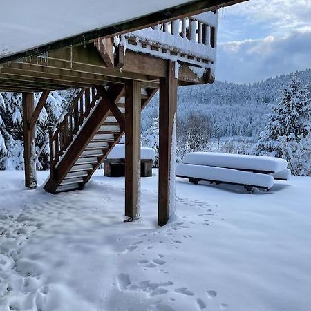 Willa Chalet Situe Au Grand Valtin Ban-sur-Meurthe-Clefcy Zewnętrze zdjęcie