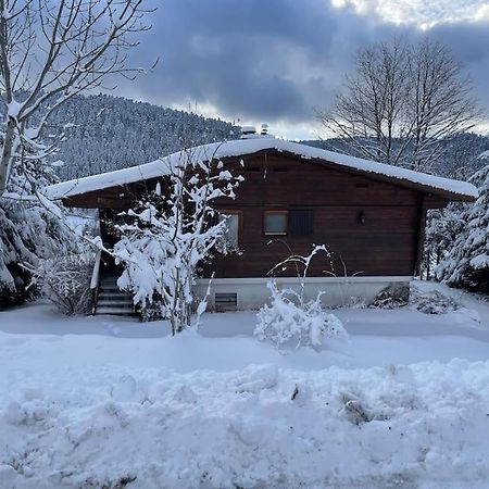 Willa Chalet Situe Au Grand Valtin Ban-sur-Meurthe-Clefcy Zewnętrze zdjęcie