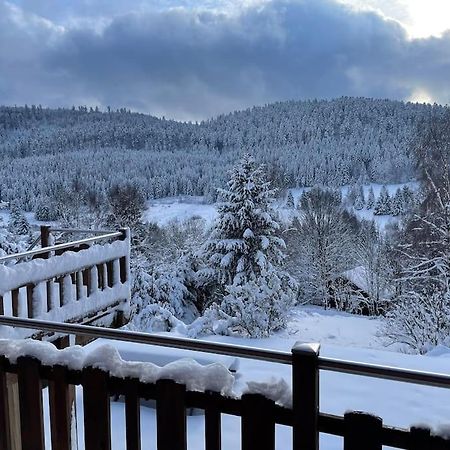 Willa Chalet Situe Au Grand Valtin Ban-sur-Meurthe-Clefcy Zewnętrze zdjęcie